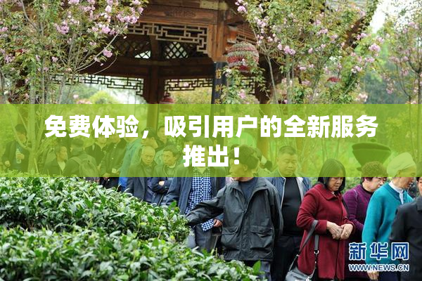 免费体验，吸引用户的全新服务推出！
