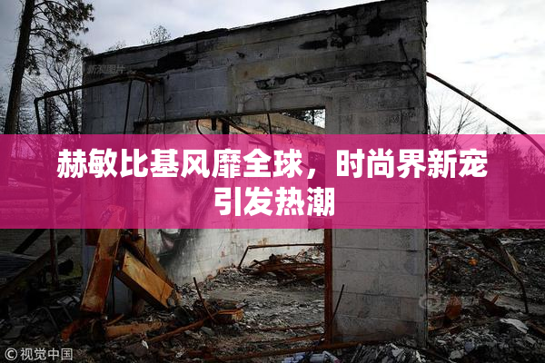 赫敏比基风靡全球，时尚界新宠引发热潮