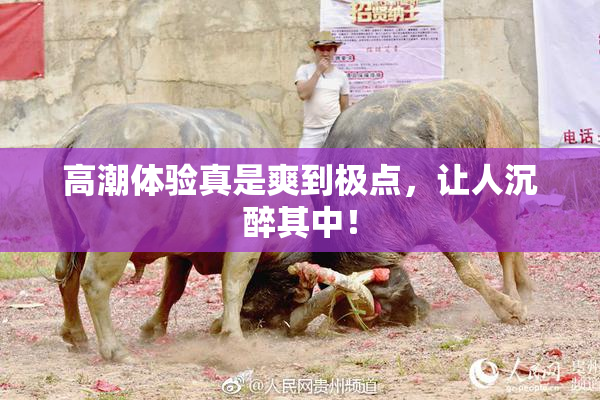 高潮体验真是爽到极点，让人沉醉其中！