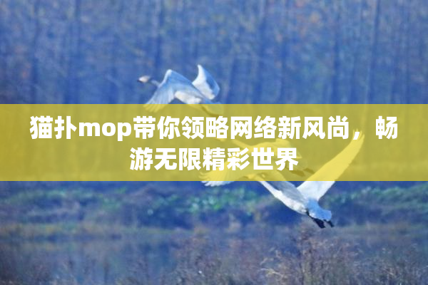 猫扑mop带你领略网络新风尚，畅游无限精彩世界