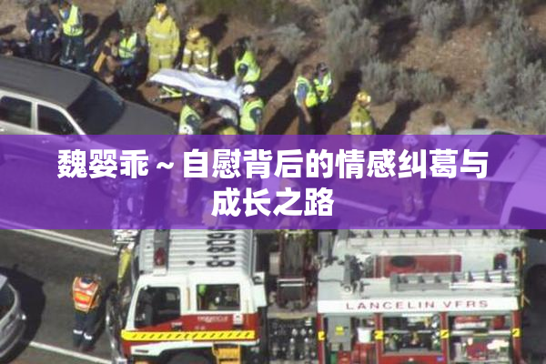 魏婴乖～自慰背后的情感纠葛与成长之路
