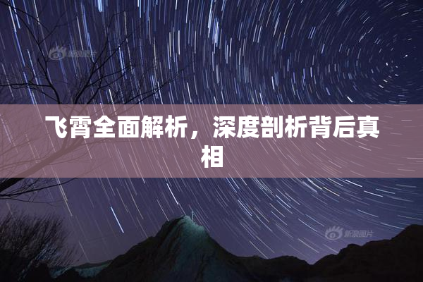 飞霄全面解析，深度剖析背后真相