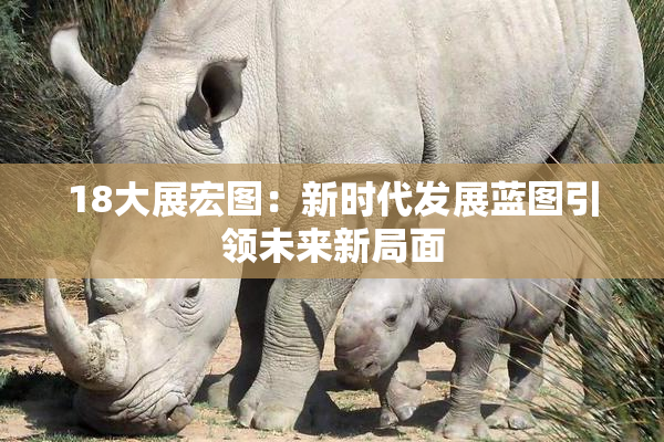 18大展宏图：新时代发展蓝图引领未来新局面