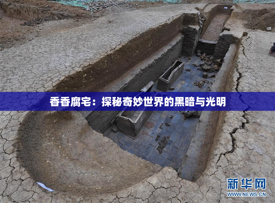 香香腐宅：探秘奇妙世界的黑暗与光明