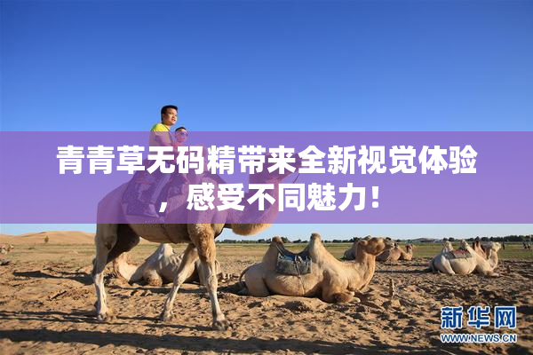 青青草无码精带来全新视觉体验，感受不同魅力！