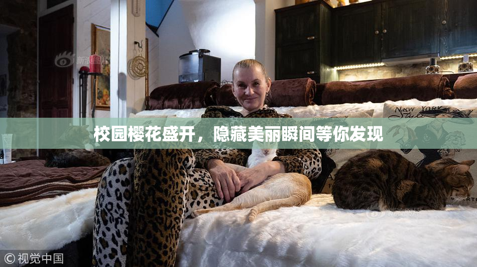 校园樱花盛开，隐藏美丽瞬间等你发现