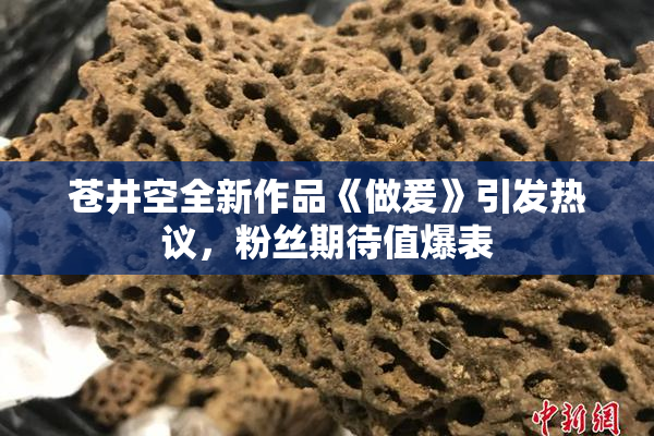 苍井空全新作品《做爰》引发热议，粉丝期待值爆表