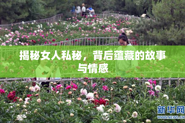 揭秘女人私秘，背后蕴藏的故事与情感