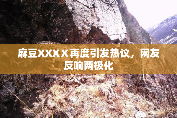 麻豆XXXⅩ再度引发热议，网友反响两极化