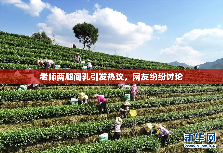 老师两腿间乳引发热议，网友纷纷讨论