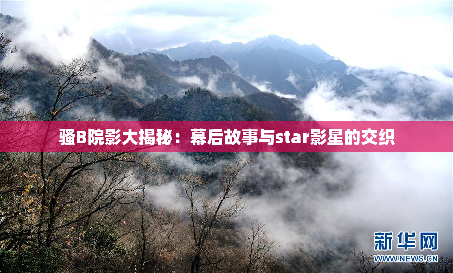 骚B院影大揭秘：幕后故事与star影星的交织