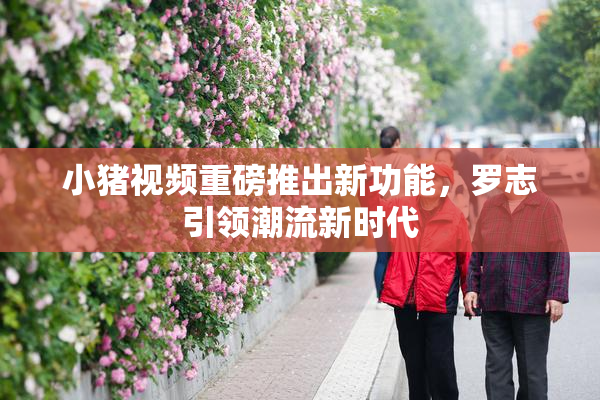 小猪视频重磅推出新功能，罗志引领潮流新时代
