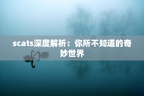 scats深度解析：你所不知道的奇妙世界