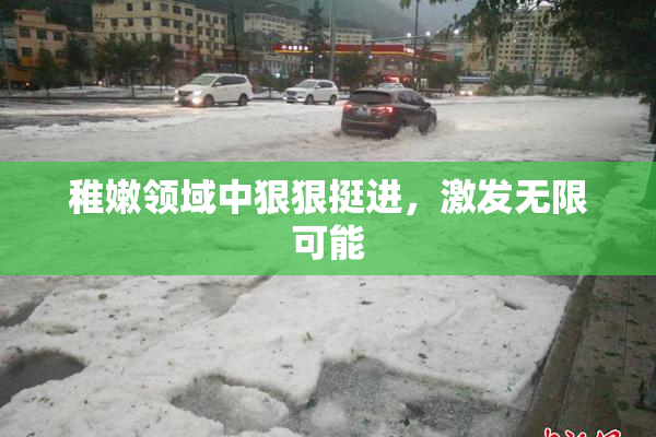 稚嫩领域中狠狠挺进，激发无限可能