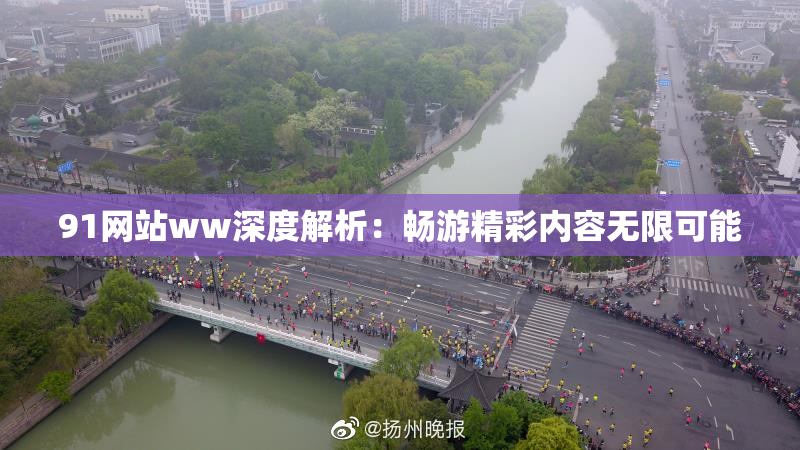 91网站ww深度解析：畅游精彩内容无限可能