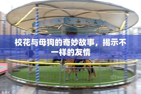 校花与母狗的奇妙故事，揭示不一样的友情