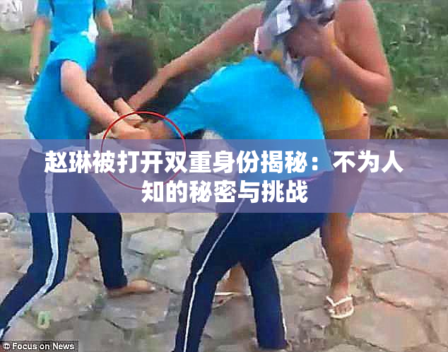 赵琳被打开双重身份揭秘：不为人知的秘密与挑战