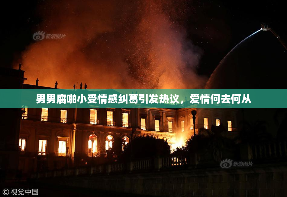 男男腐啪小受情感纠葛引发热议，爱情何去何从