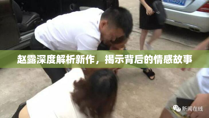 赵露深度解析新作，揭示背后的情感故事