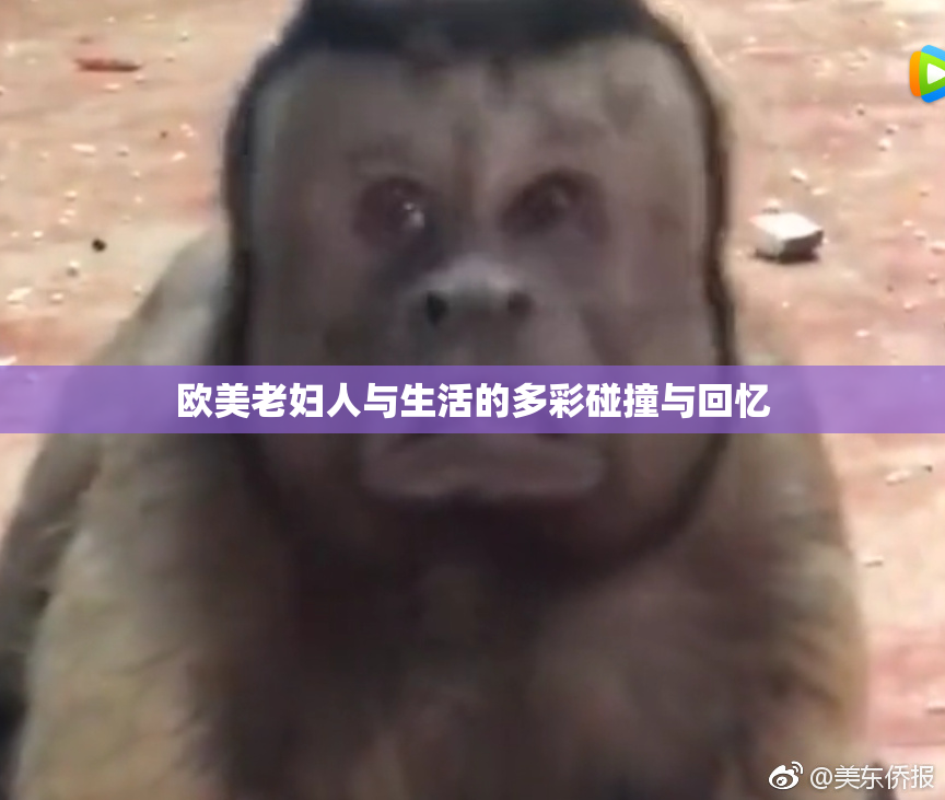 欧美老妇人与生活的多彩碰撞与回忆