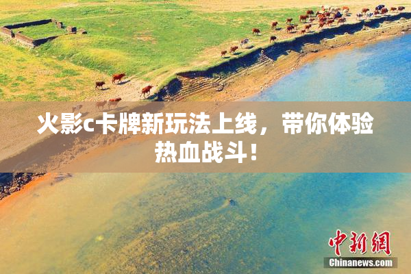 火影c卡牌新玩法上线，带你体验热血战斗！