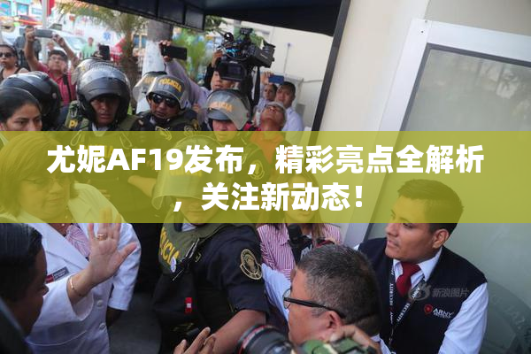 尤妮AF19发布，精彩亮点全解析，关注新动态！