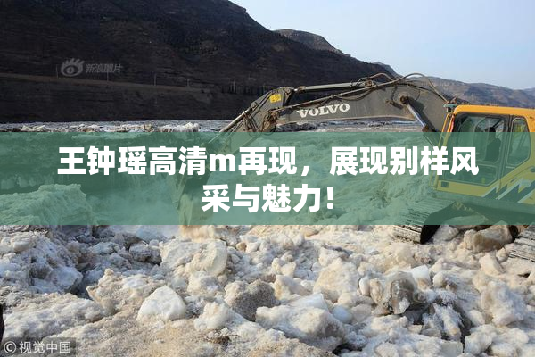 王钟瑶高清m再现，展现别样风采与魅力！