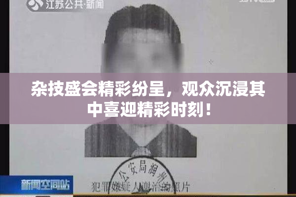杂技盛会精彩纷呈，观众沉浸其中喜迎精彩时刻！