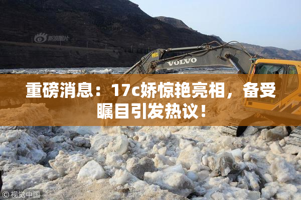重磅消息：17c娇惊艳亮相，备受瞩目引发热议！
