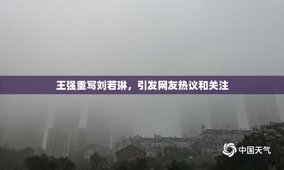 王强重写刘若琳，引发网友热议和关注