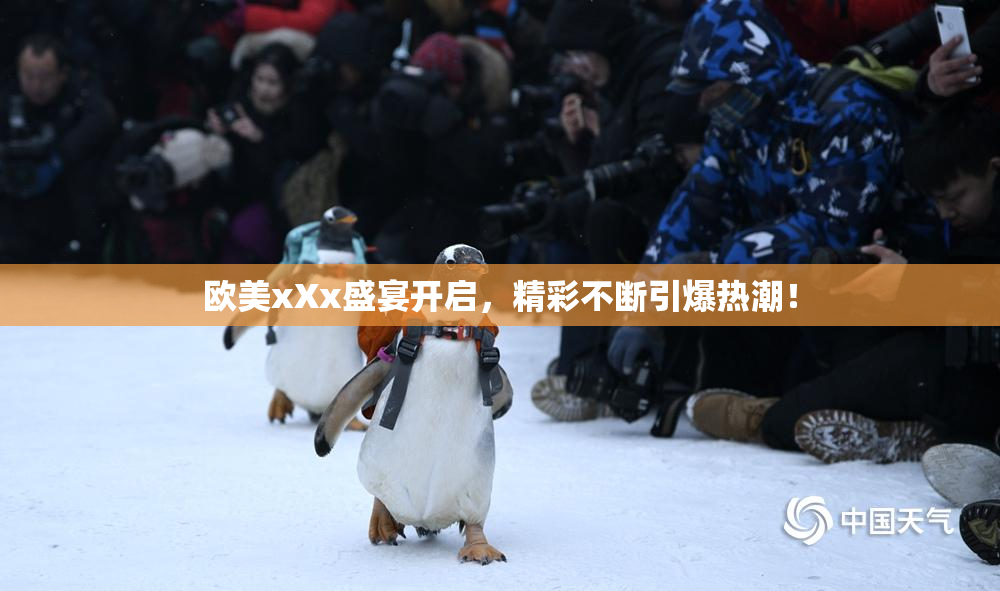 欧美xXx盛宴开启，精彩不断引爆热潮！