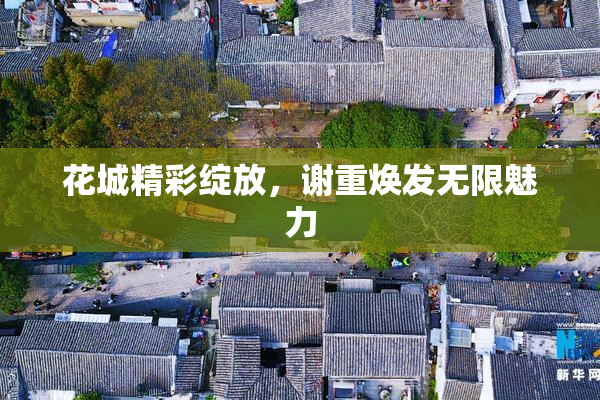 花城精彩绽放，谢重焕发无限魅力