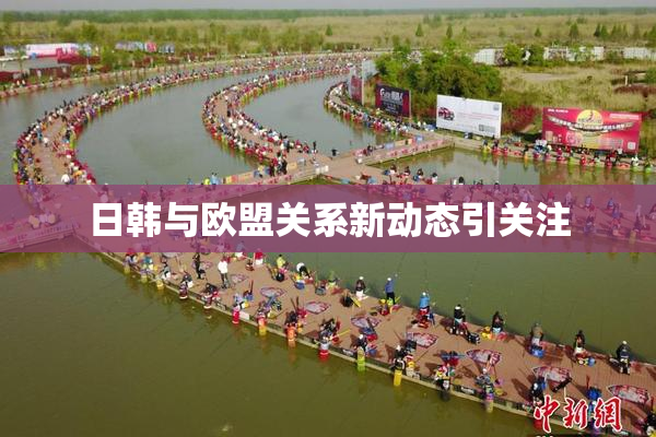 日韩与欧盟关系新动态引关注
