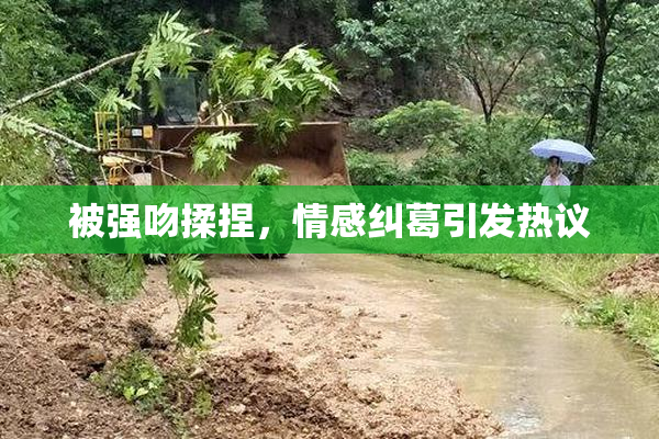 被强吻揉捏，情感纠葛引发热议