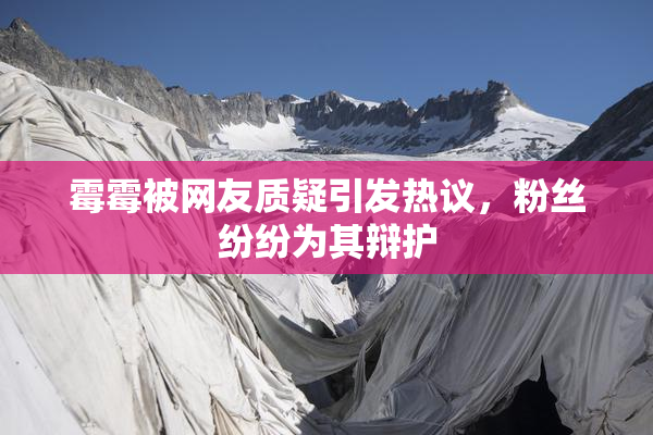 霉霉被网友质疑引发热议，粉丝纷纷为其辩护