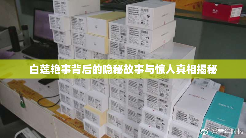 白莲艳事背后的隐秘故事与惊人真相揭秘