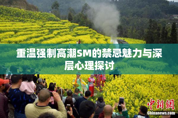 重温强制高潮SM的禁忌魅力与深层心理探讨