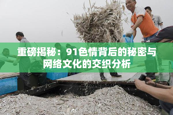 重磅揭秘：91色情背后的秘密与网络文化的交织分析