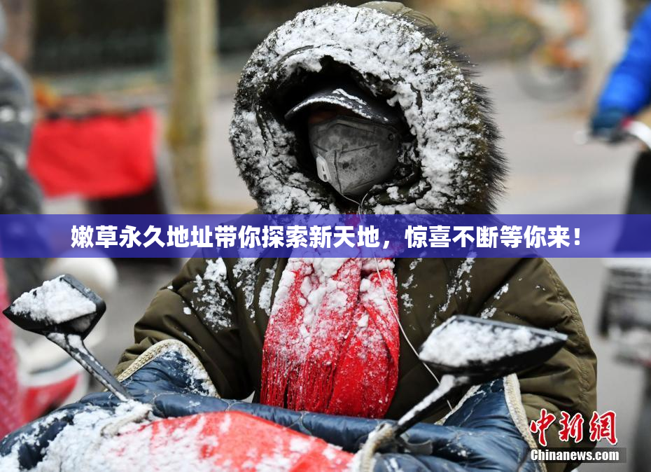 嫩草永久地址带你探索新天地，惊喜不断等你来！