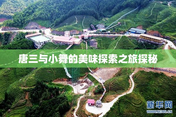 唐三与小舞的美味探索之旅探秘