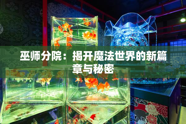巫师分院：揭开魔法世界的新篇章与秘密