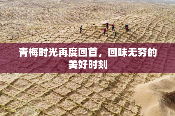 青梅时光再度回首，回味无穷的美好时刻