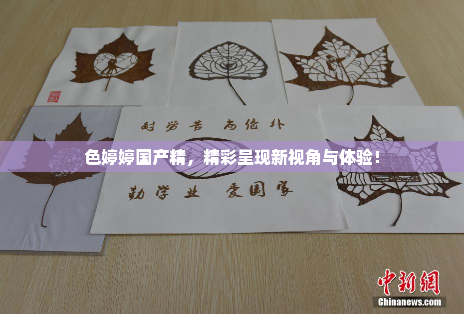 色婷婷国产精，精彩呈现新视角与体验！