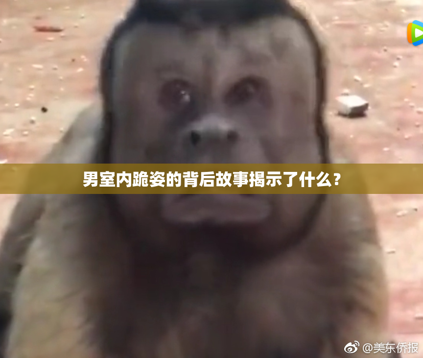 男室内跪姿的背后故事揭示了什么？