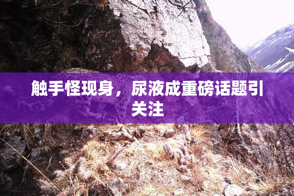 触手怪现身，尿液成重磅话题引关注