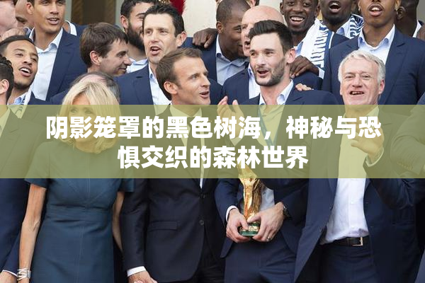 阴影笼罩的黑色树海，神秘与恐惧交织的森林世界