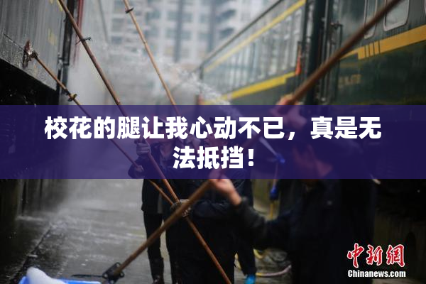 校花的腿让我心动不已，真是无法抵挡！