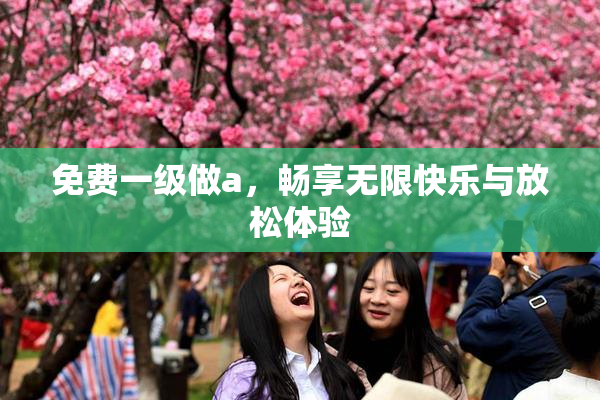 免费一级做a，畅享无限快乐与放松体验