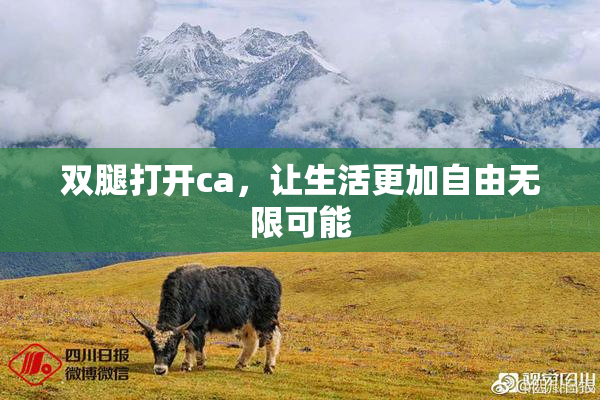 双腿打开ca，让生活更加自由无限可能