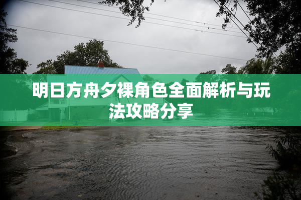 明日方舟夕裸角色全面解析与玩法攻略分享